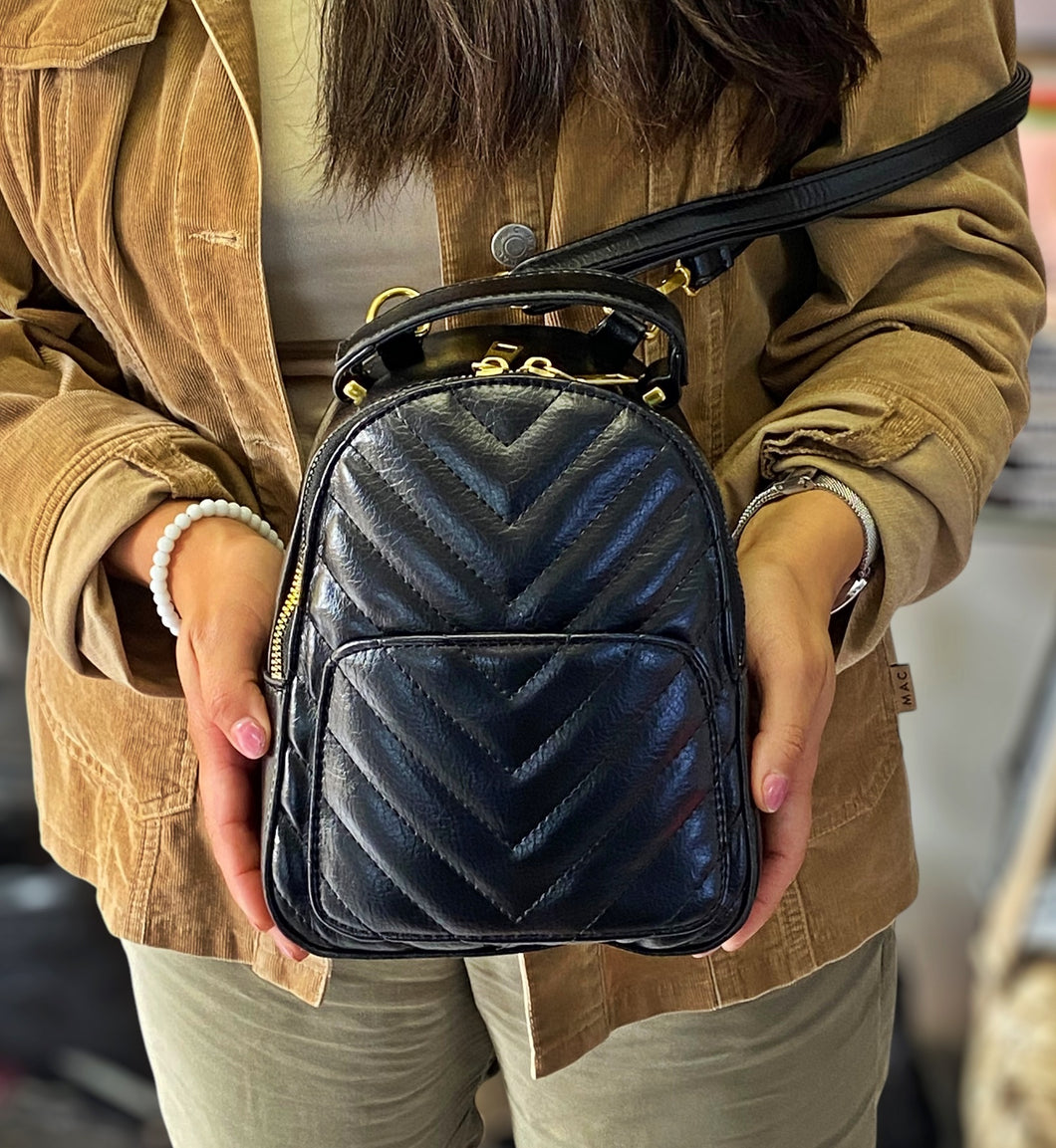 Mini Cartera y Mochila Pascal +Regalo sorpresa